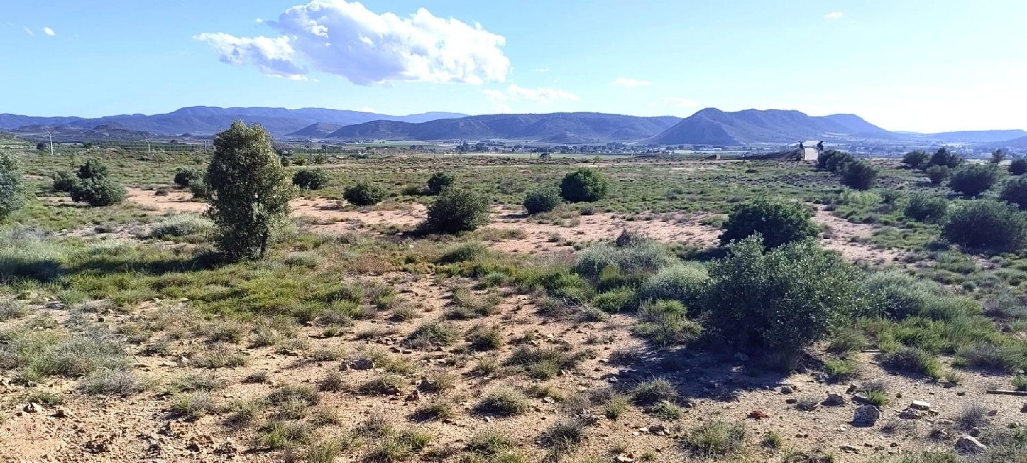  for sale house Villena Alt Vinalopó 4