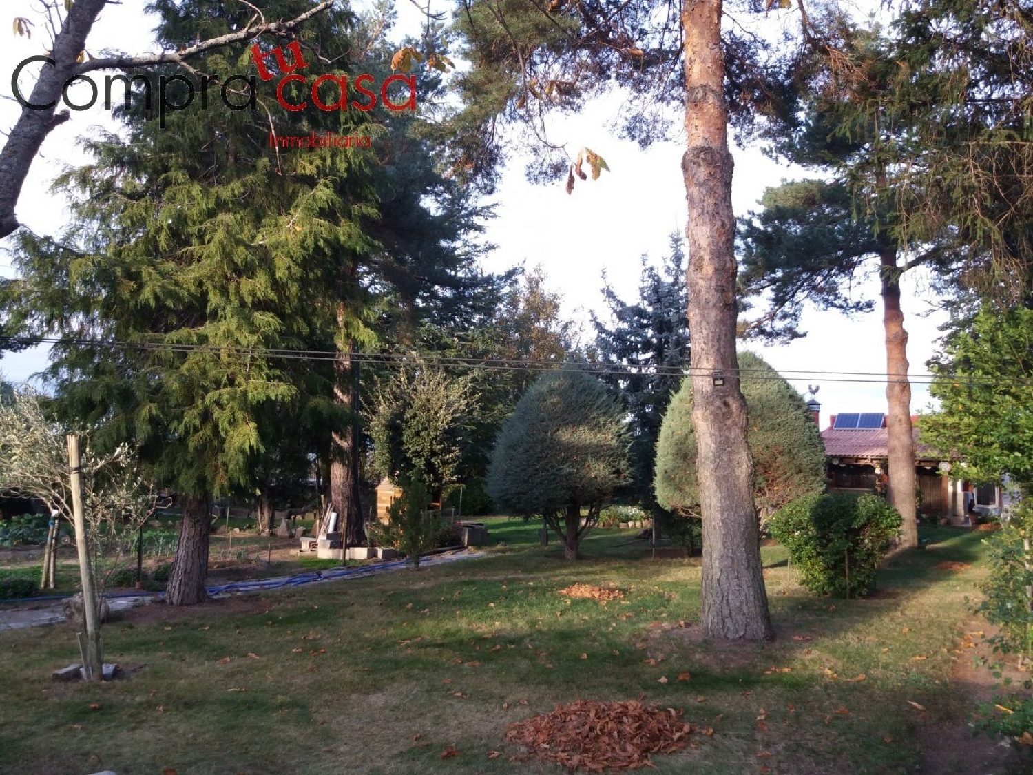 for sale manor house Basardilla Segovia Sur 8