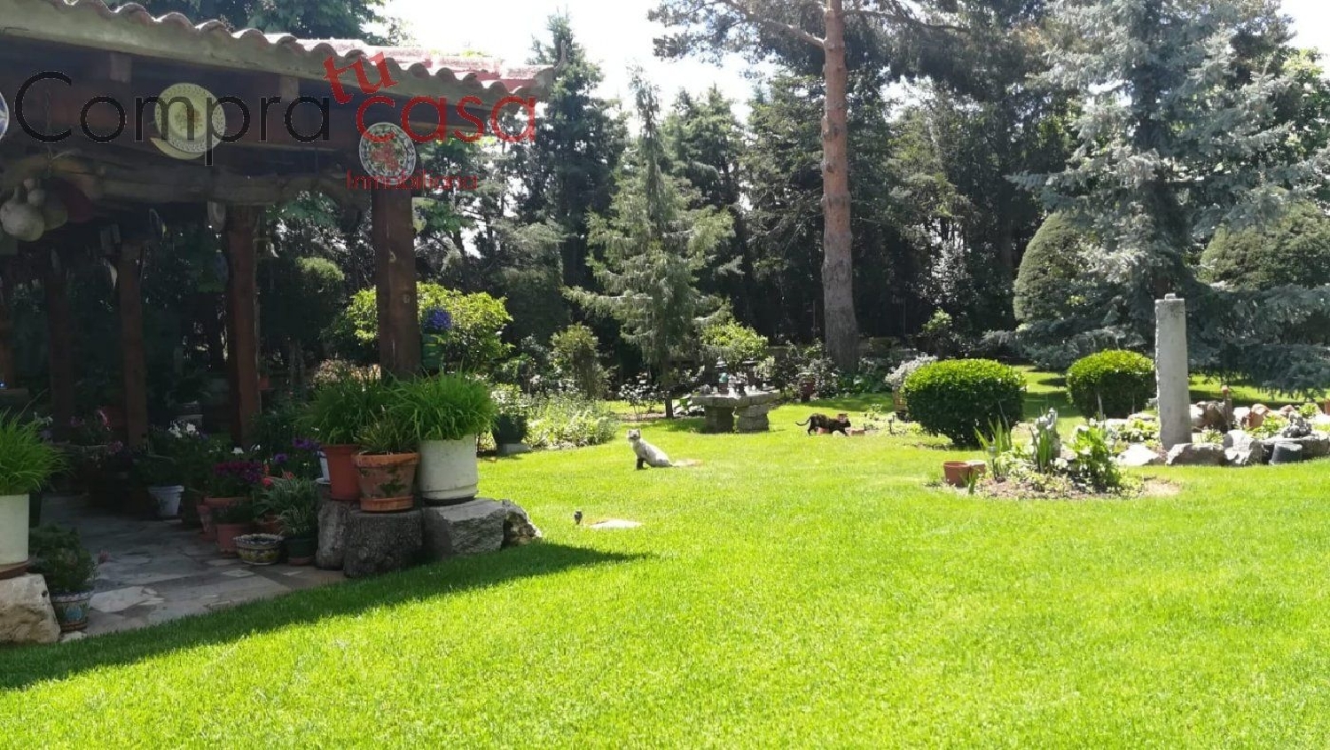 for sale manor house Basardilla Segovia Sur 5