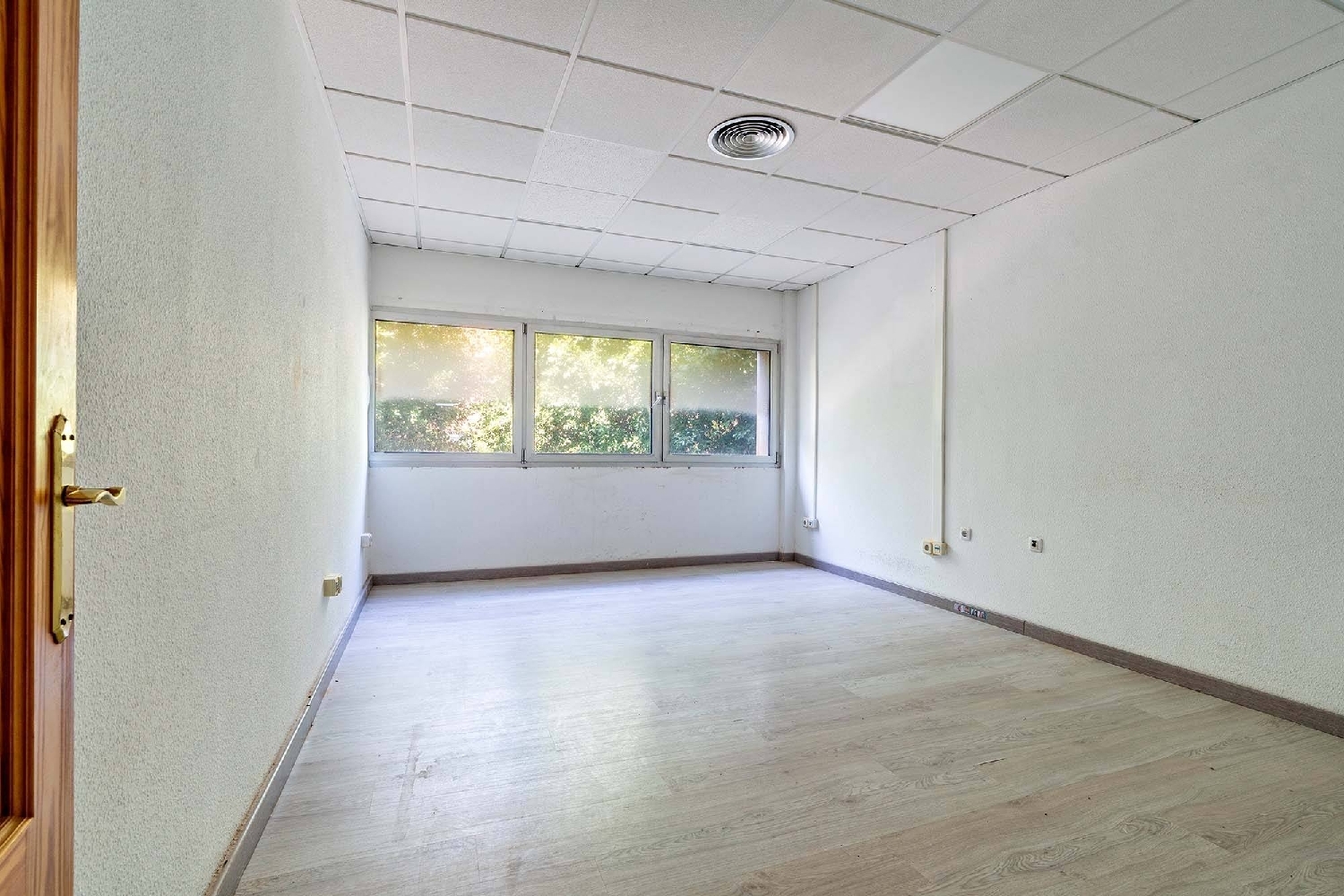  en venta oficina Palmeria Marina Alta 6