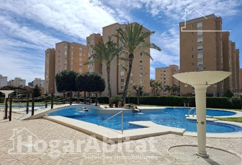 Alicante Centro 03001 Alacantí penthouse foto 6379485