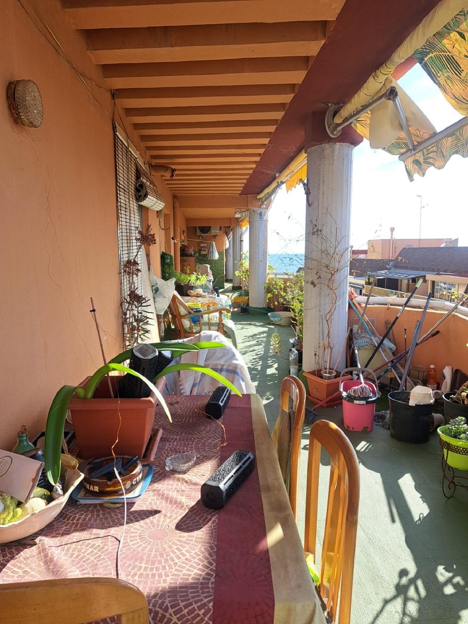  en venta ático Benidorm (Centro) Marina Baixa 2
