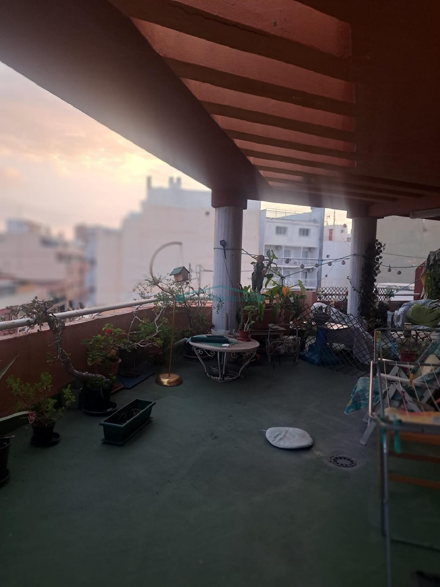  en venta ático Benidorm (Centro) Marina Baixa 7