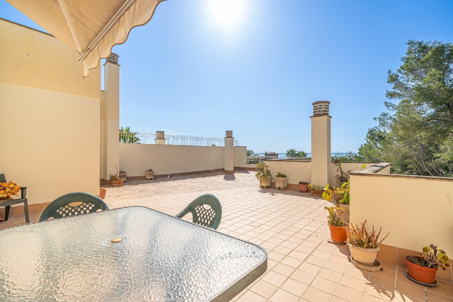  for sale penthouse Calvià Ponent 2