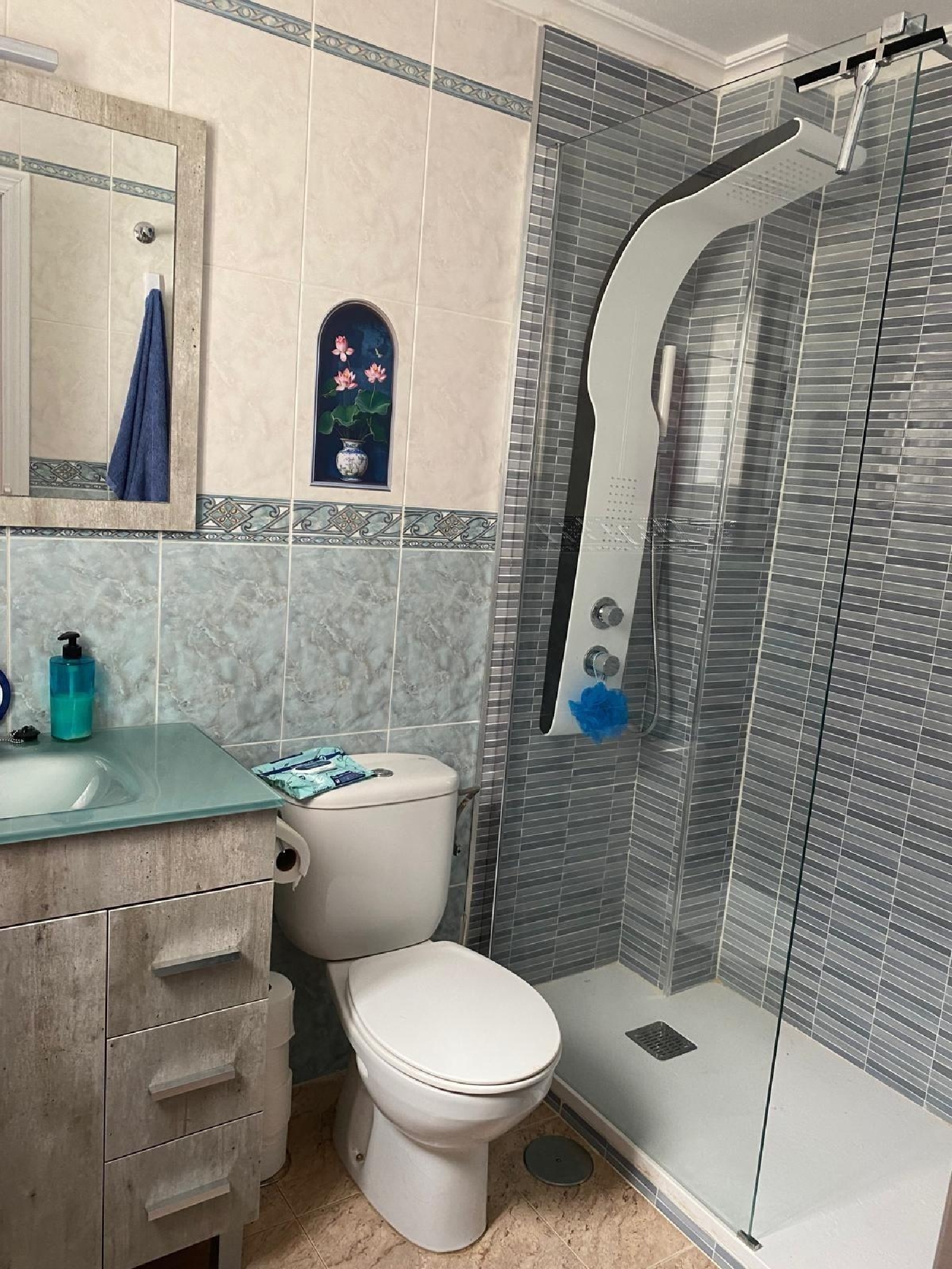  kaufen Penthouse Torrevieja Baix Segura 4