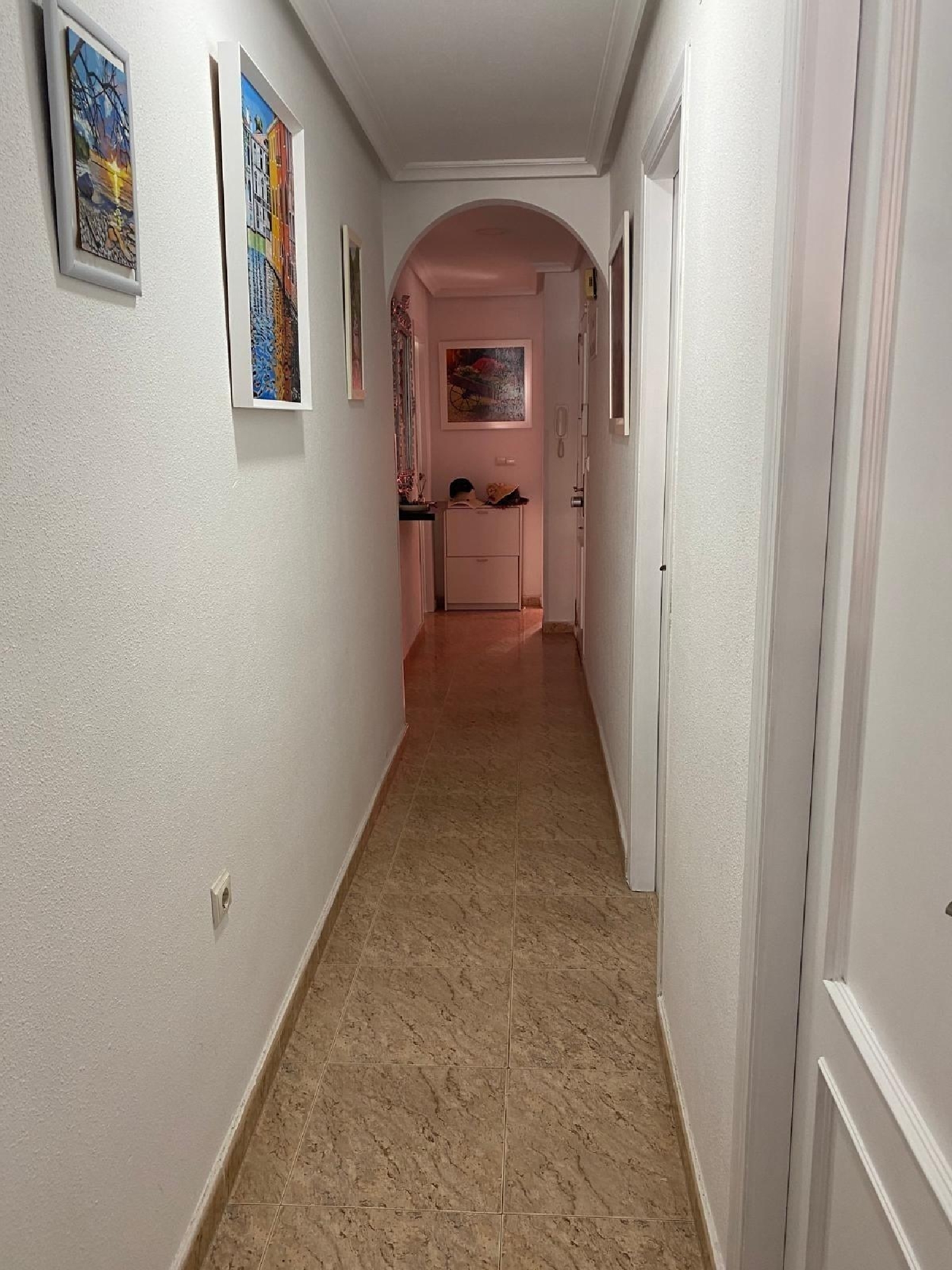  kaufen Penthouse Torrevieja Baix Segura 8