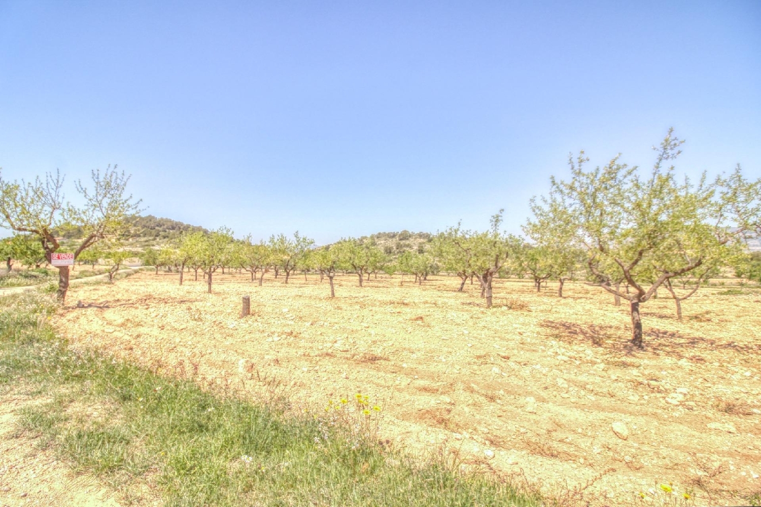  en venta terreno Abanillas Costa Occidental 2