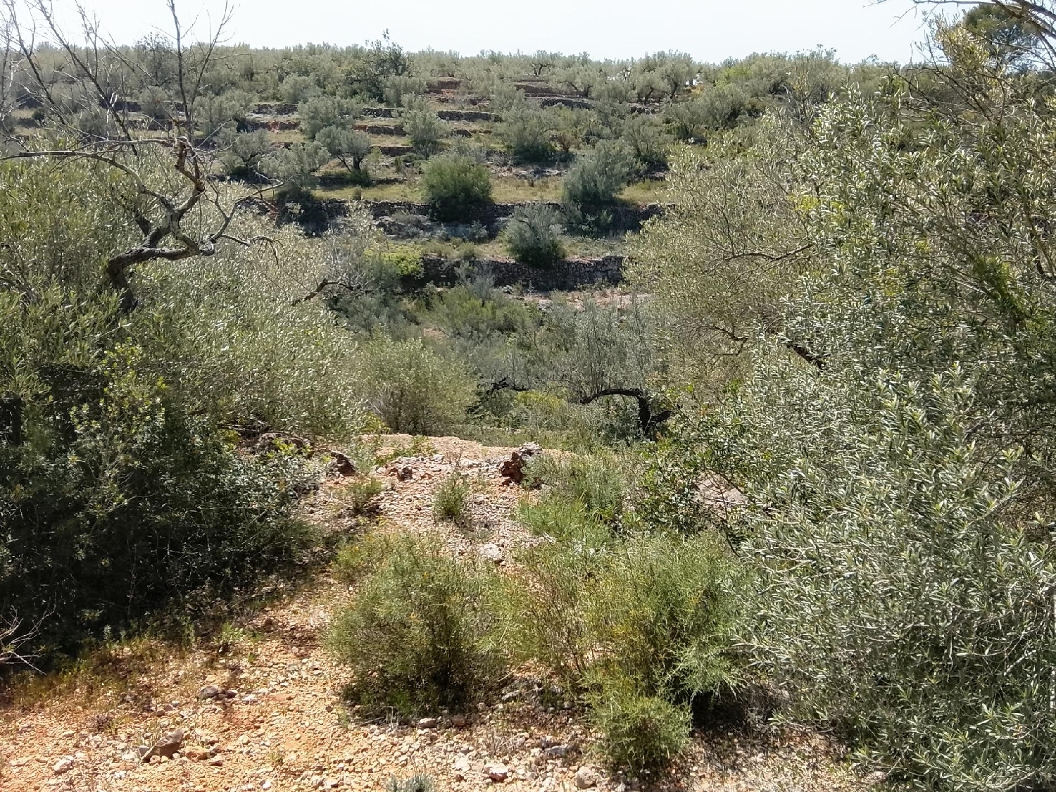  till salu tomt Aldea Bergantiños 8