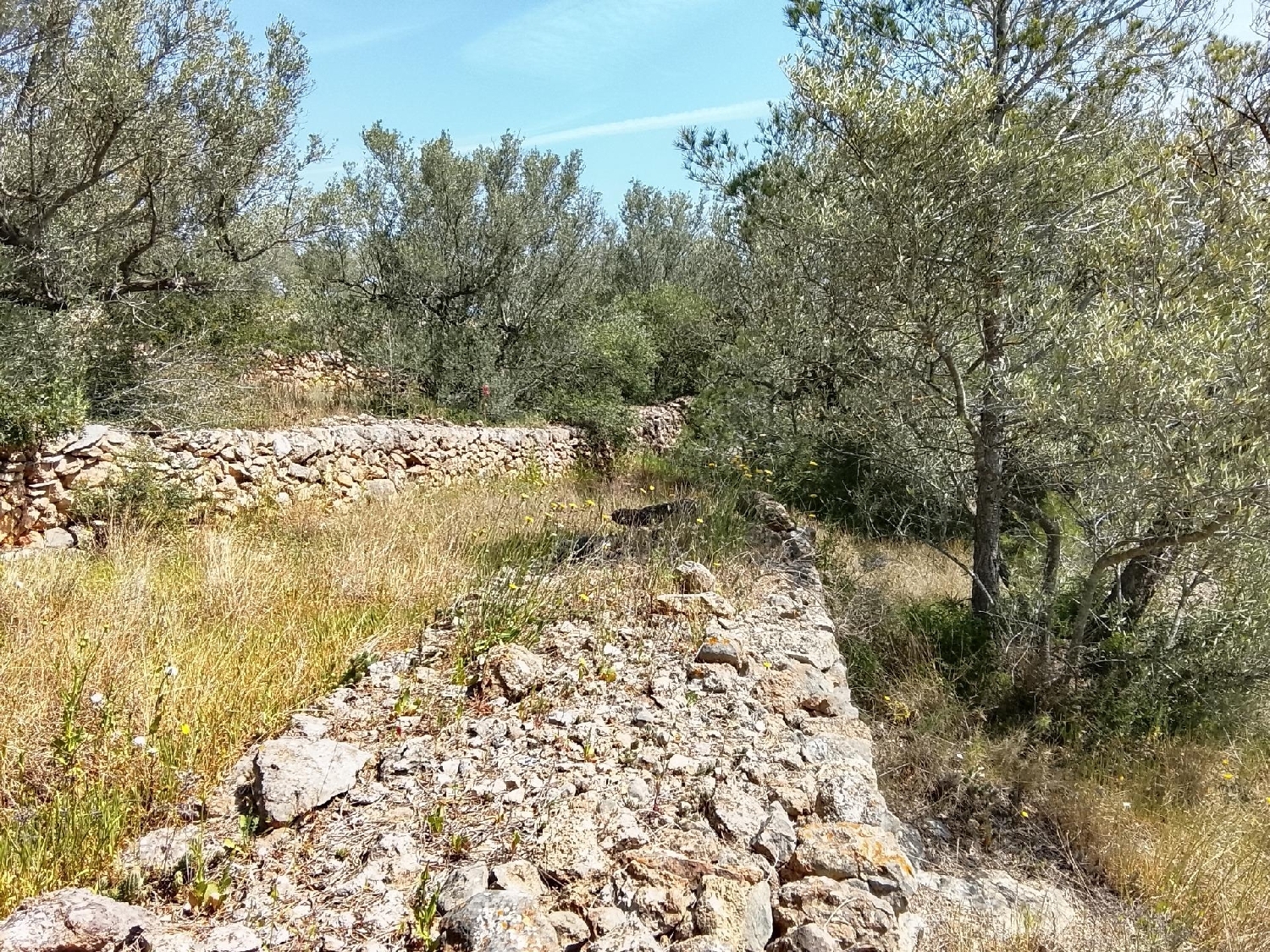  till salu tomt Aldea Bergantiños 6