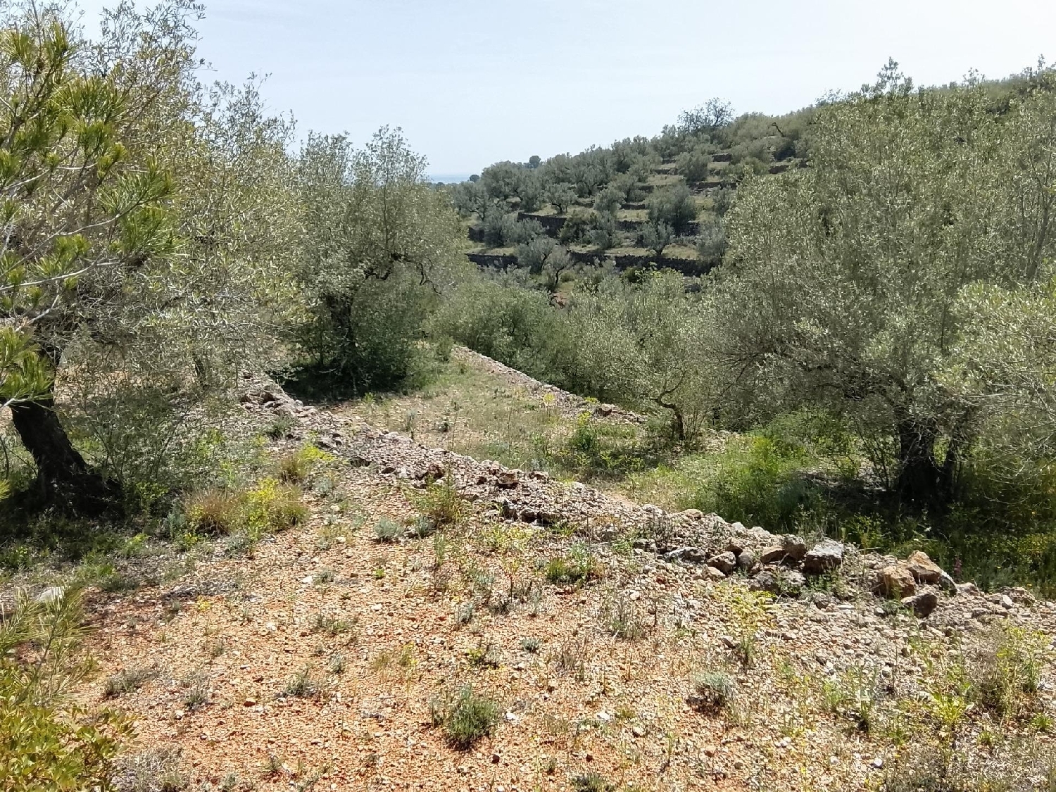 till salu tomt Aldea Bergantiños 5