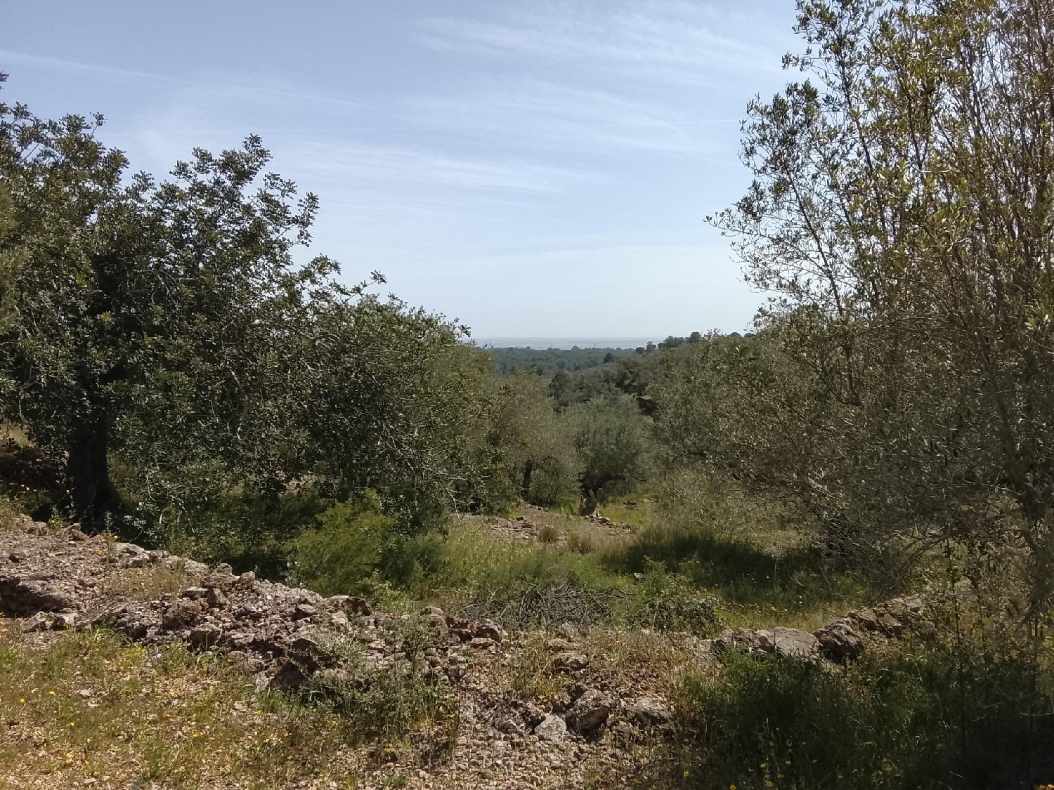  till salu tomt Aldea Bergantiños 4
