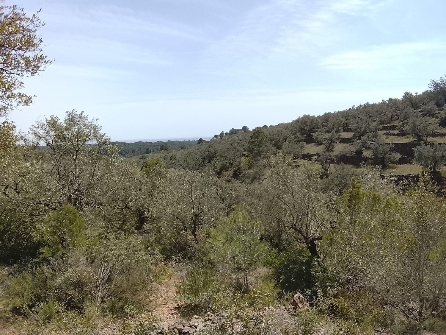  till salu tomt Aldea Bergantiños 1