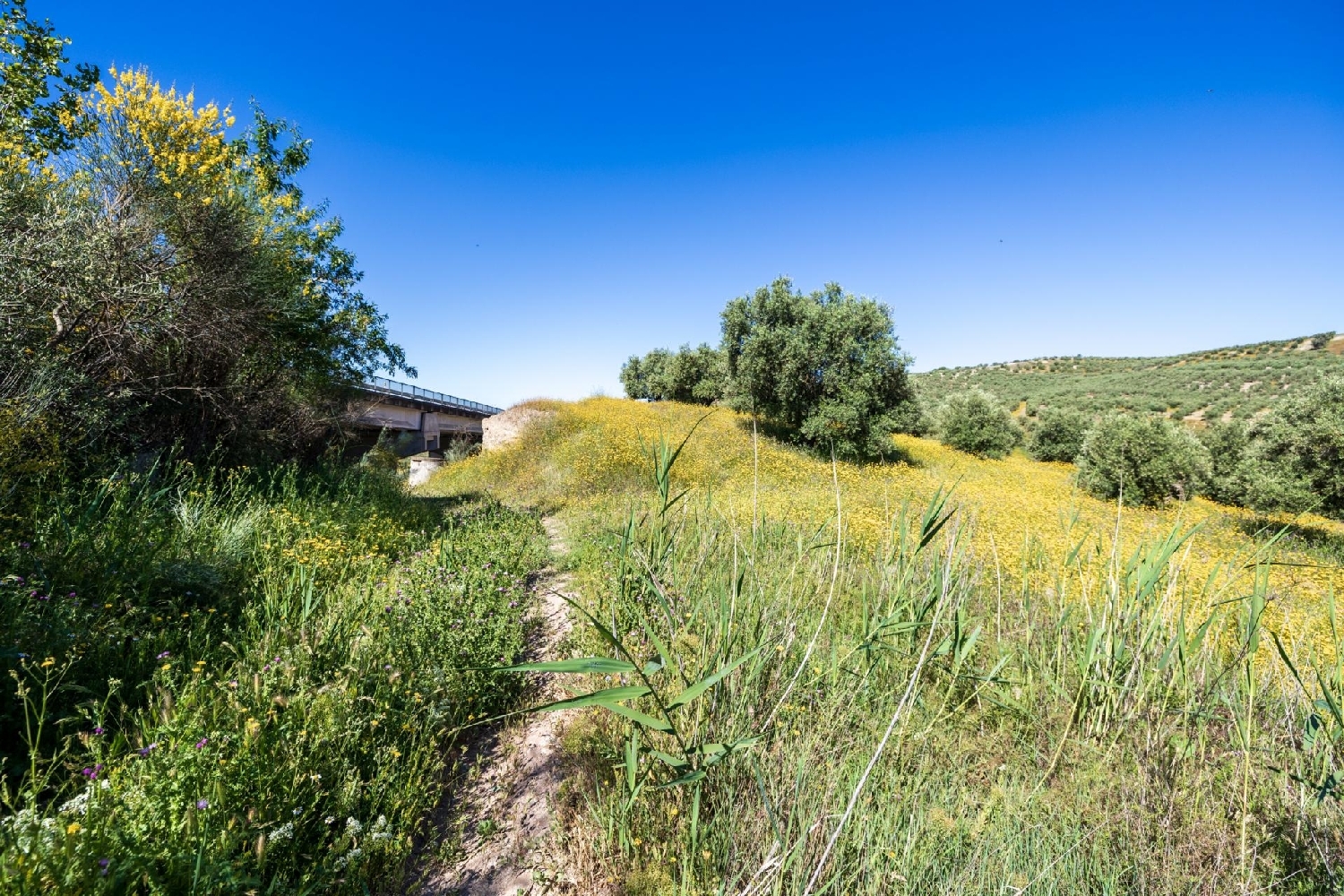  for sale plot Alfacar Vega De Granada 8