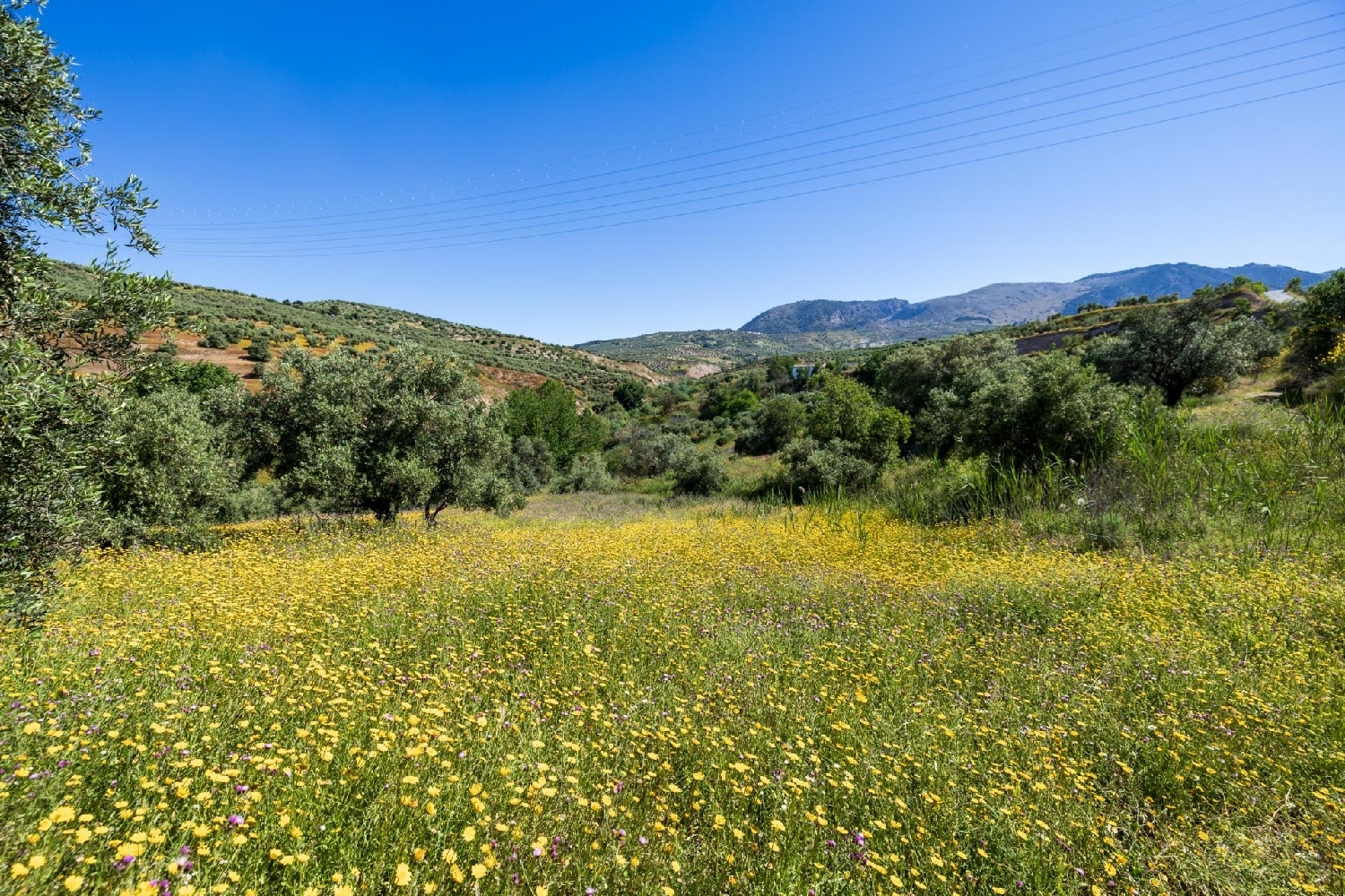  for sale plot Alfacar Vega De Granada 1
