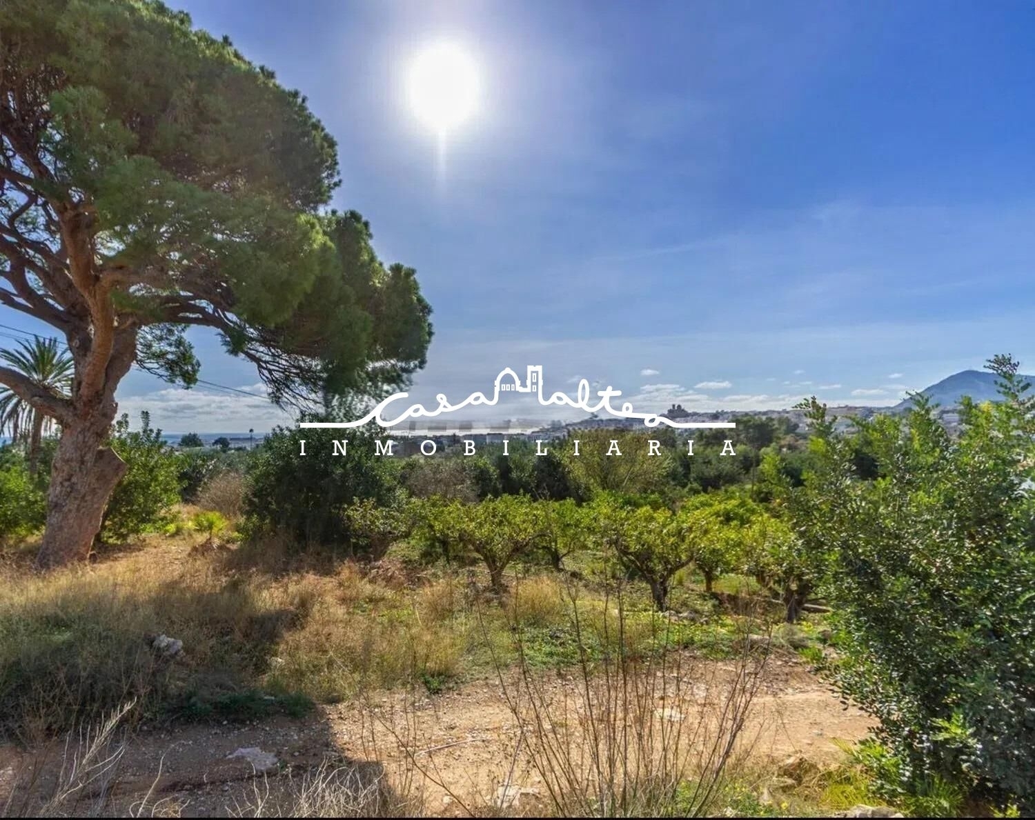 kaufen Grundstück Altea Marina Baixa 2