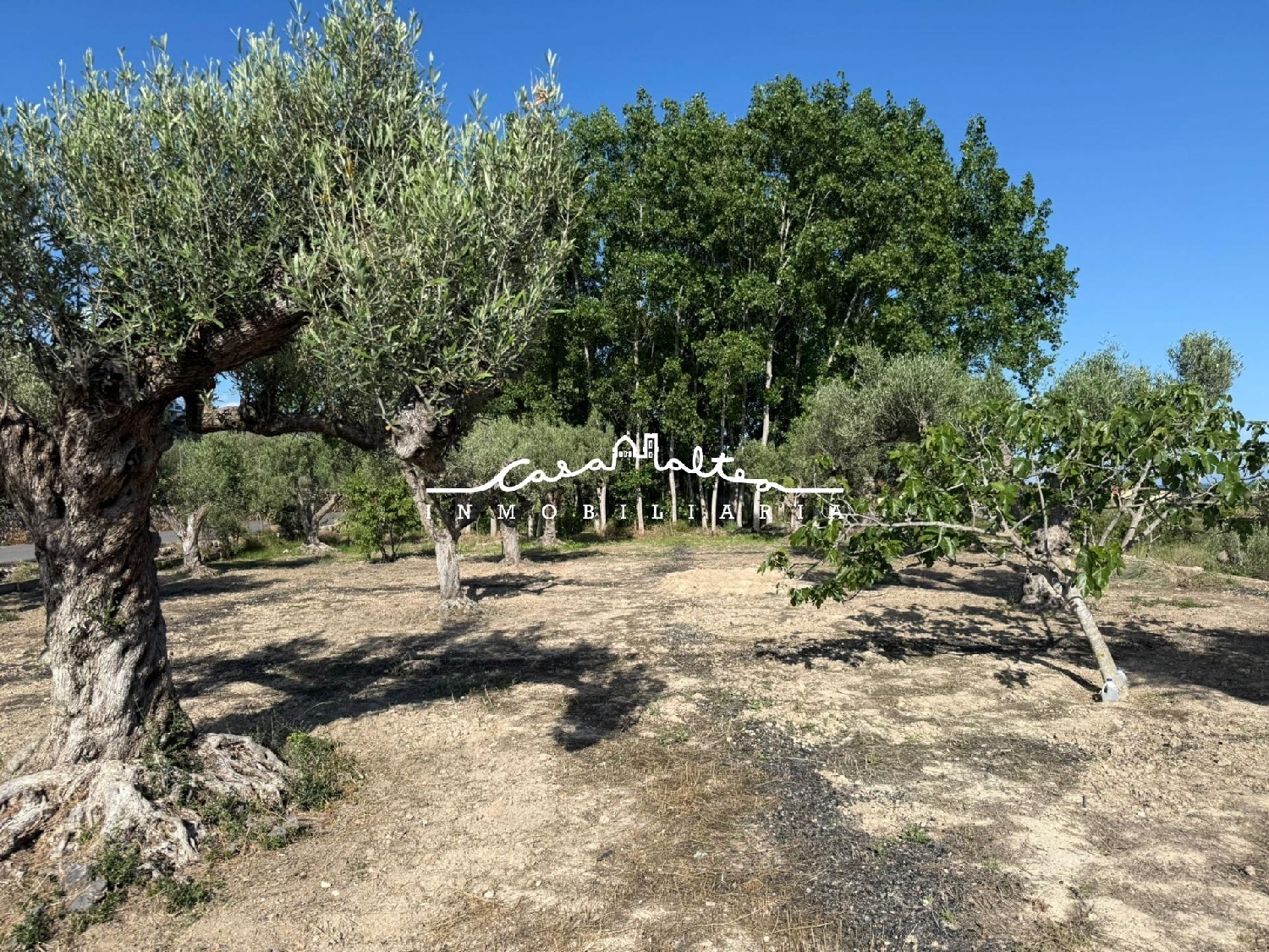kaufen Grundstück Altea Marina Baixa 5