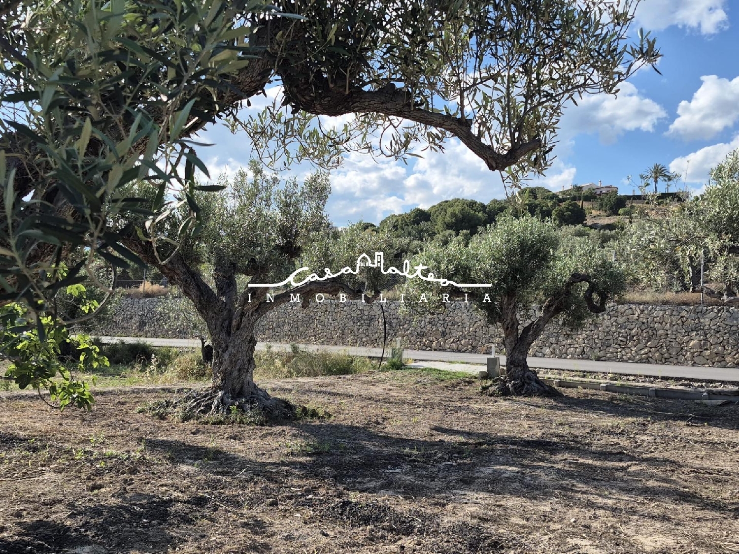 kaufen Grundstück Altea Marina Baixa 7