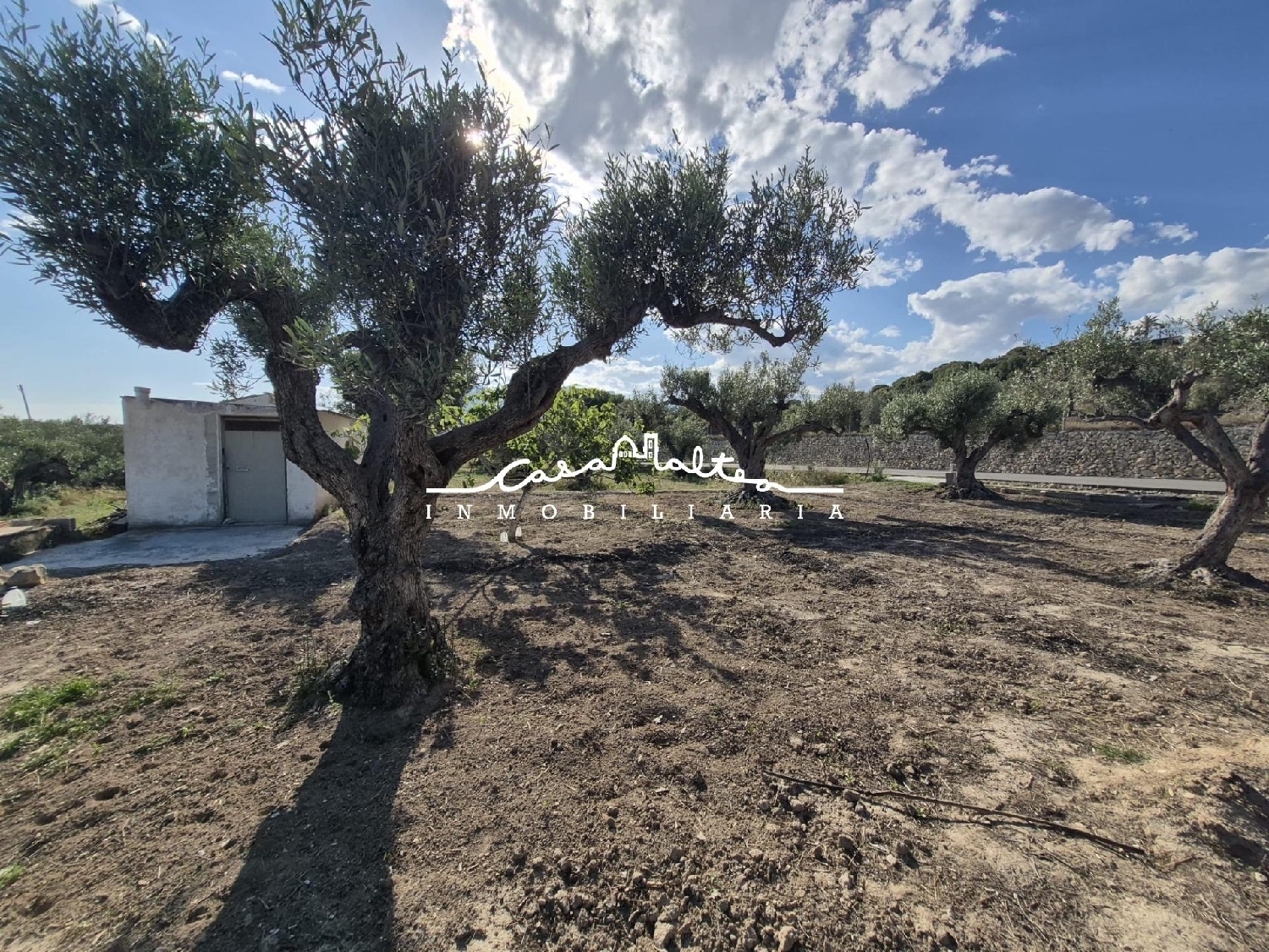kaufen Grundstück Altea Marina Baixa 4