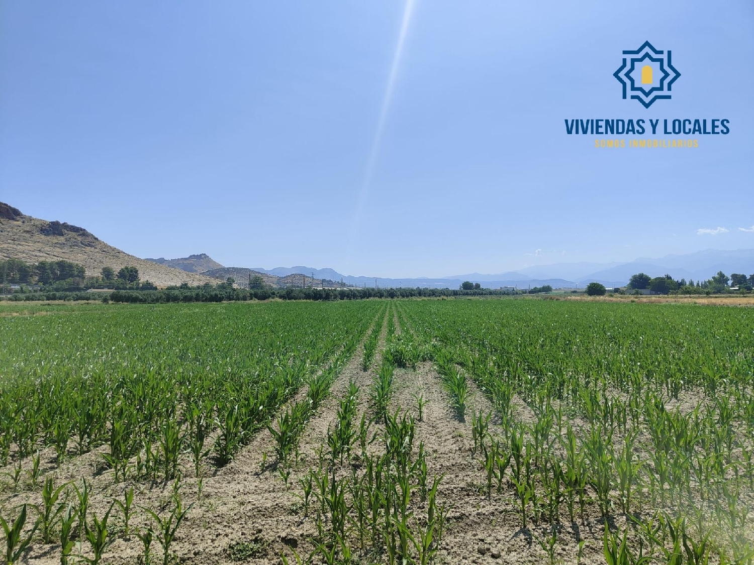 te koop perceel Atarfe Vega De Granada 3