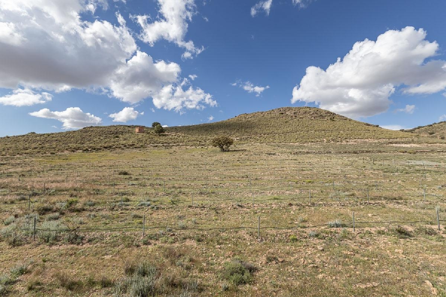  en venta terreno Beas De Guadix Accitania 4