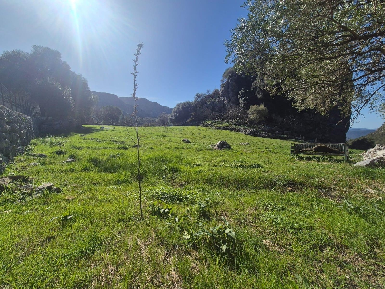 te koop perceel Benaocaz Sierra De Cádiz 4