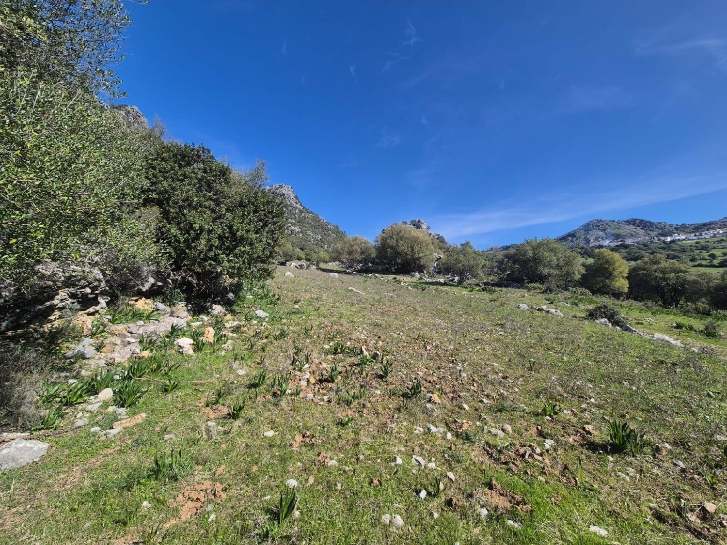 te koop perceel Benaocaz Sierra De Cádiz 2