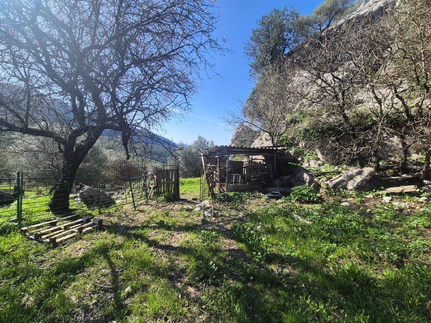 te koop perceel Benaocaz Sierra De Cádiz 7