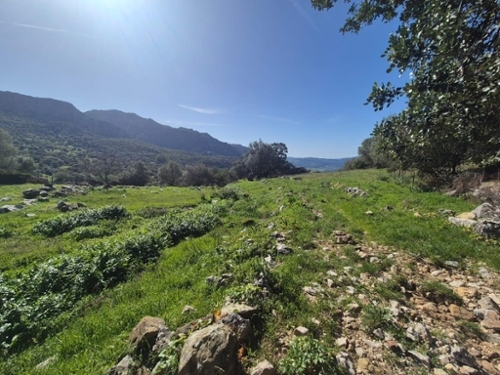 Benaocaz Sierra De Cádiz perceel foto 6383165
