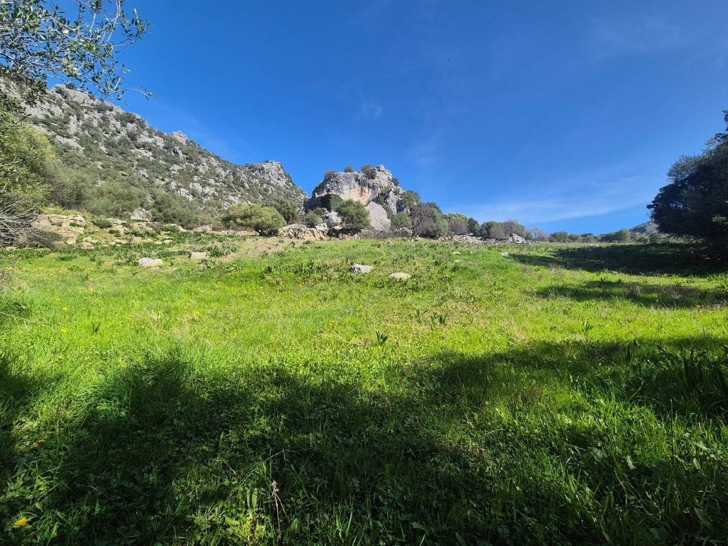 te koop perceel Benaocaz Sierra De Cádiz 3