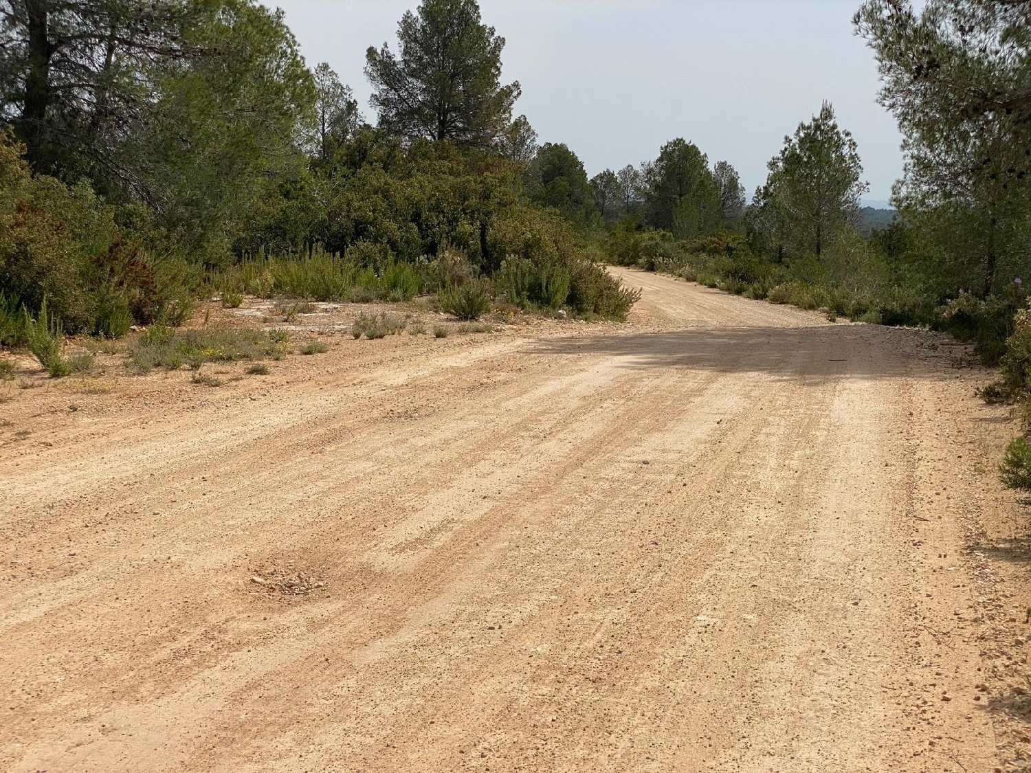  en venta terreno Bolbaite Canal De Navarrés 8