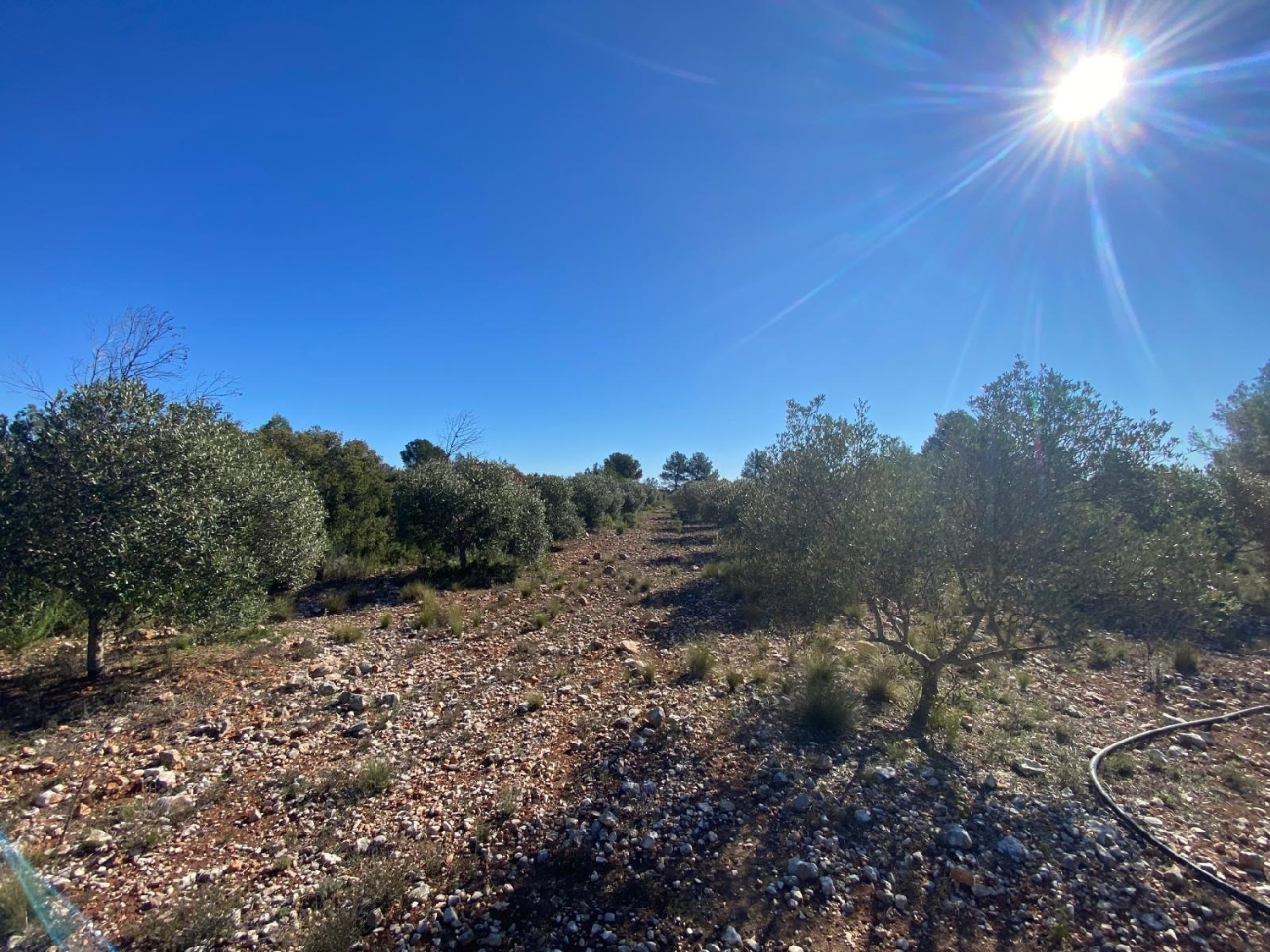  en venta terreno Bolbaite Canal De Navarrés 4