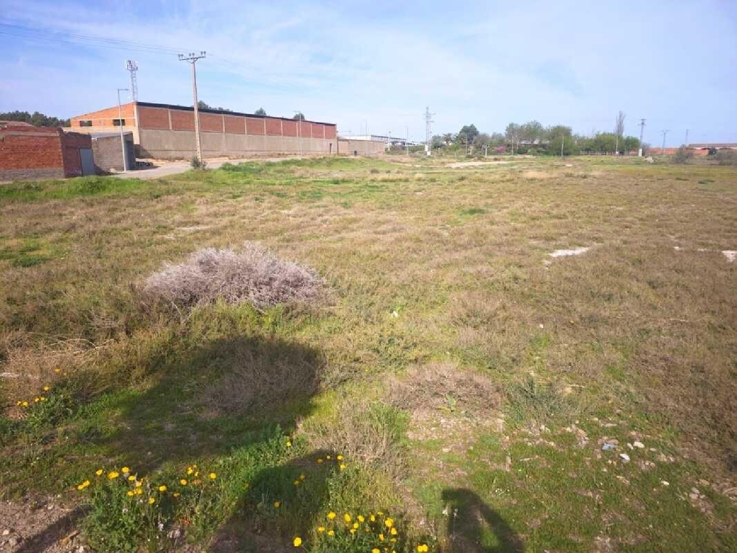  for sale plot Cabañas De Ebro Ribera Alta Del Ebro (La) 5