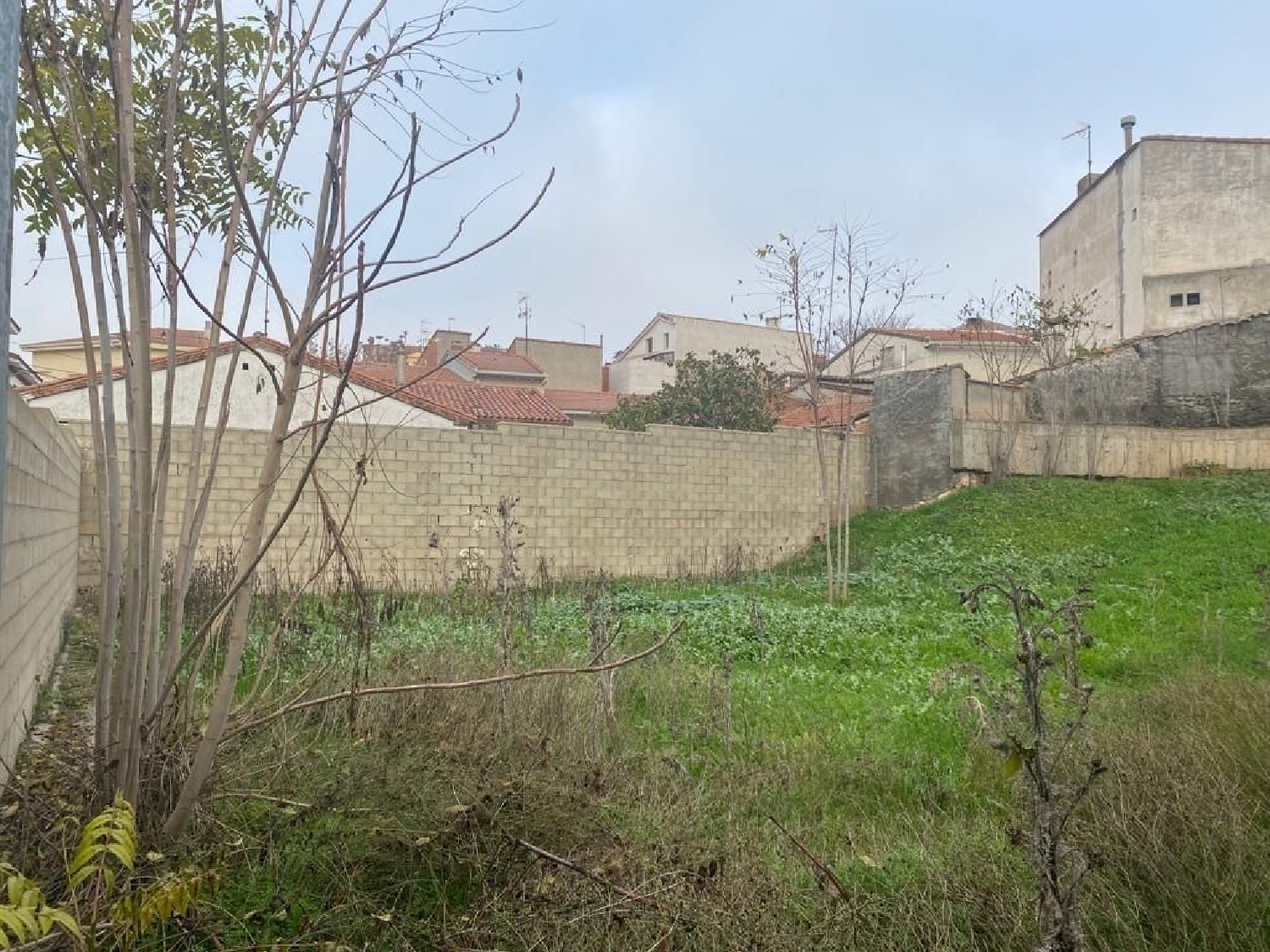 kaufen Grundstück Cabanillas Del Campo Campiña 3