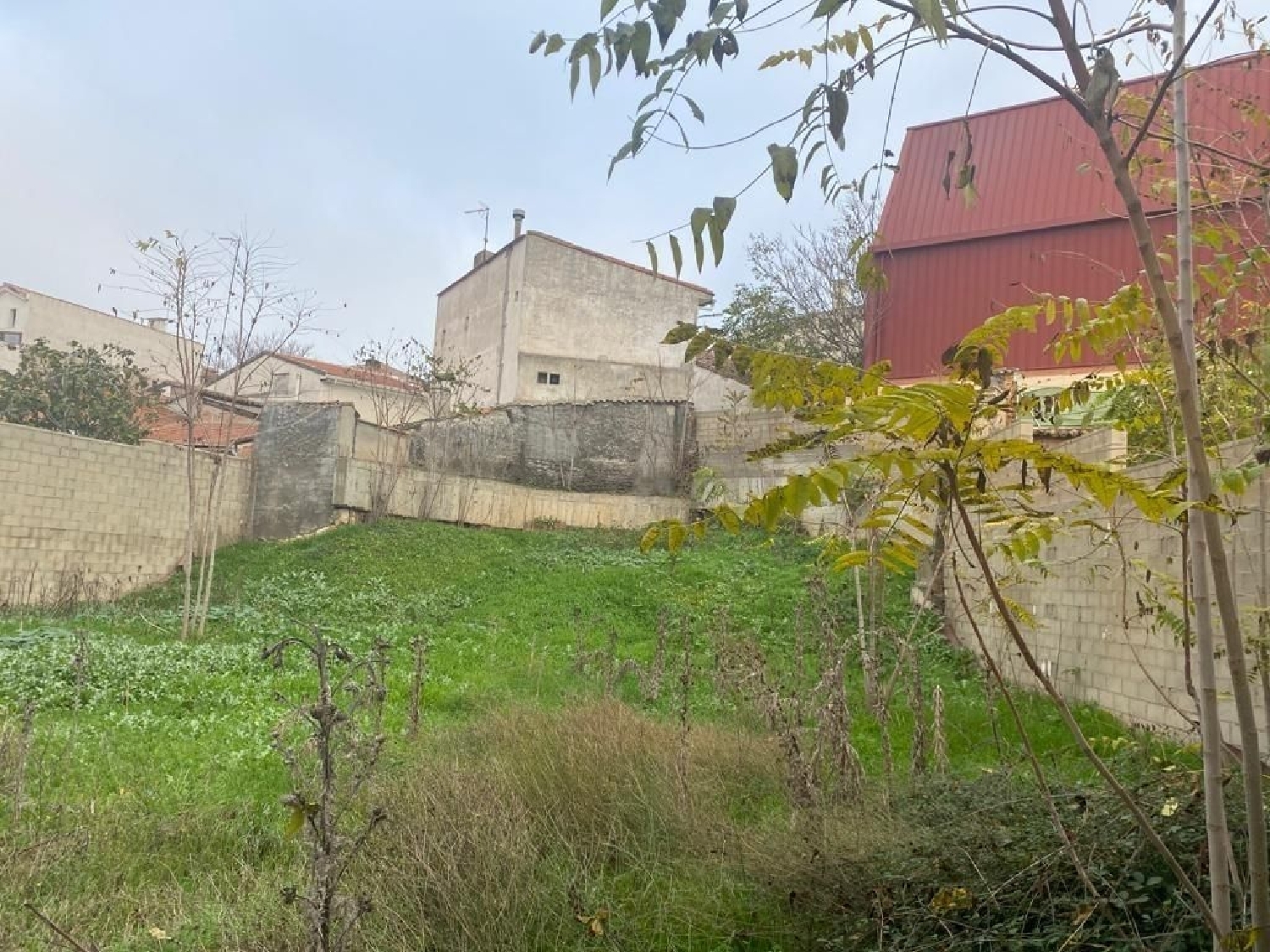 kaufen Grundstück Cabanillas Del Campo Campiña 4