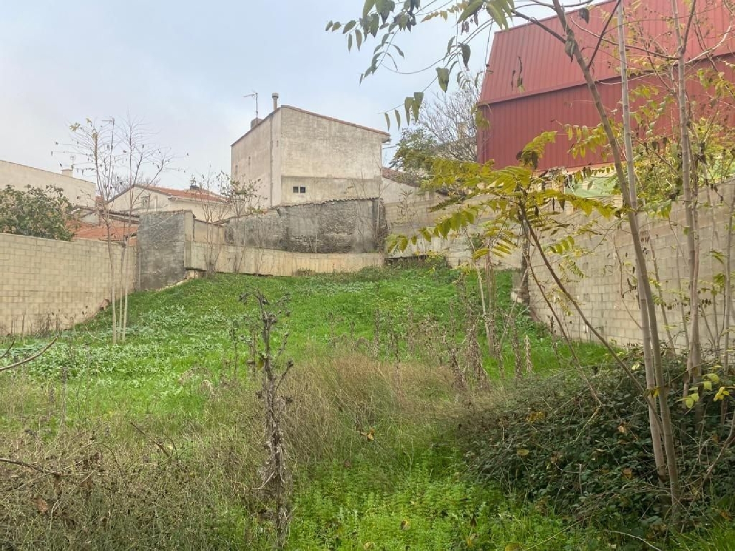 kaufen Grundstück Cabanillas Del Campo Campiña 6