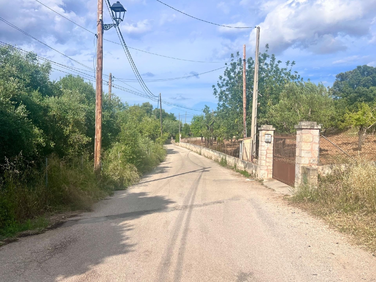  for sale plot Campanet Raiguer 2