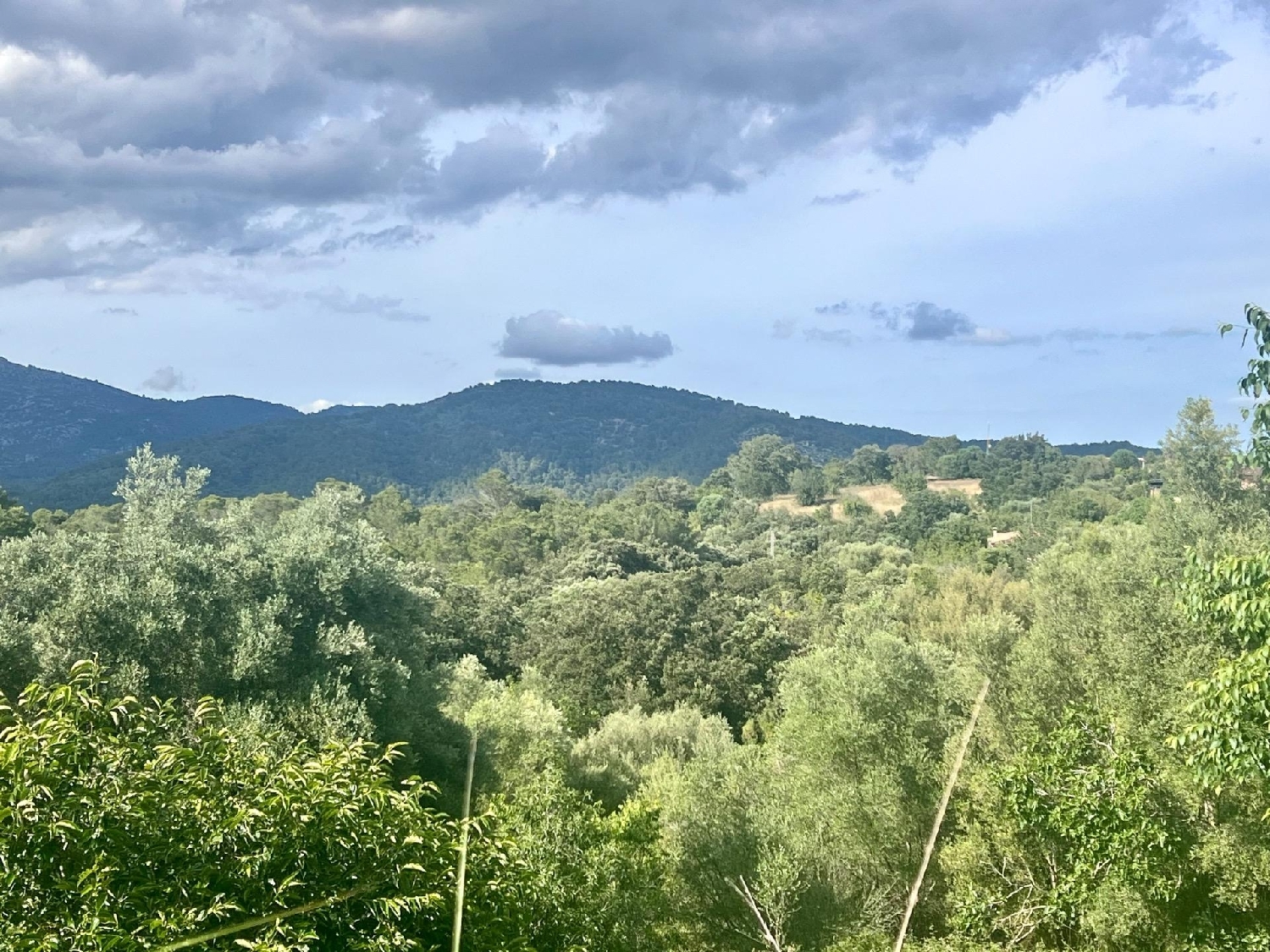  for sale plot Campanet Raiguer 3