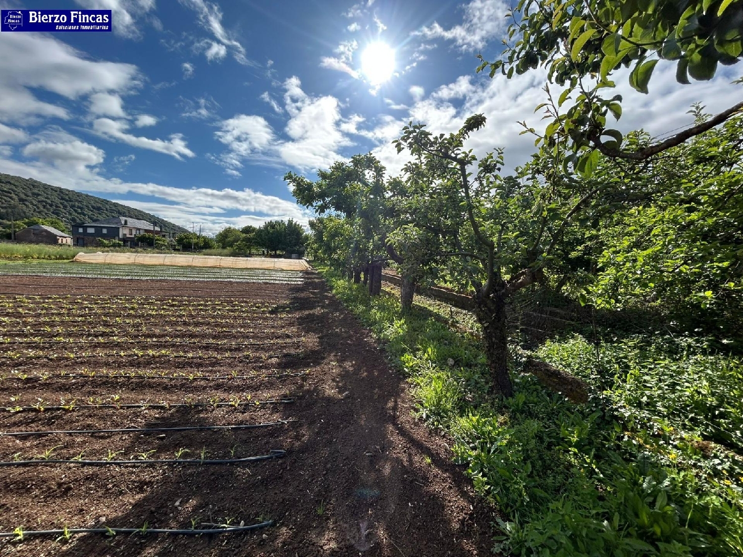 kaufen Grundstück Carucedo Bierzo (El) 8