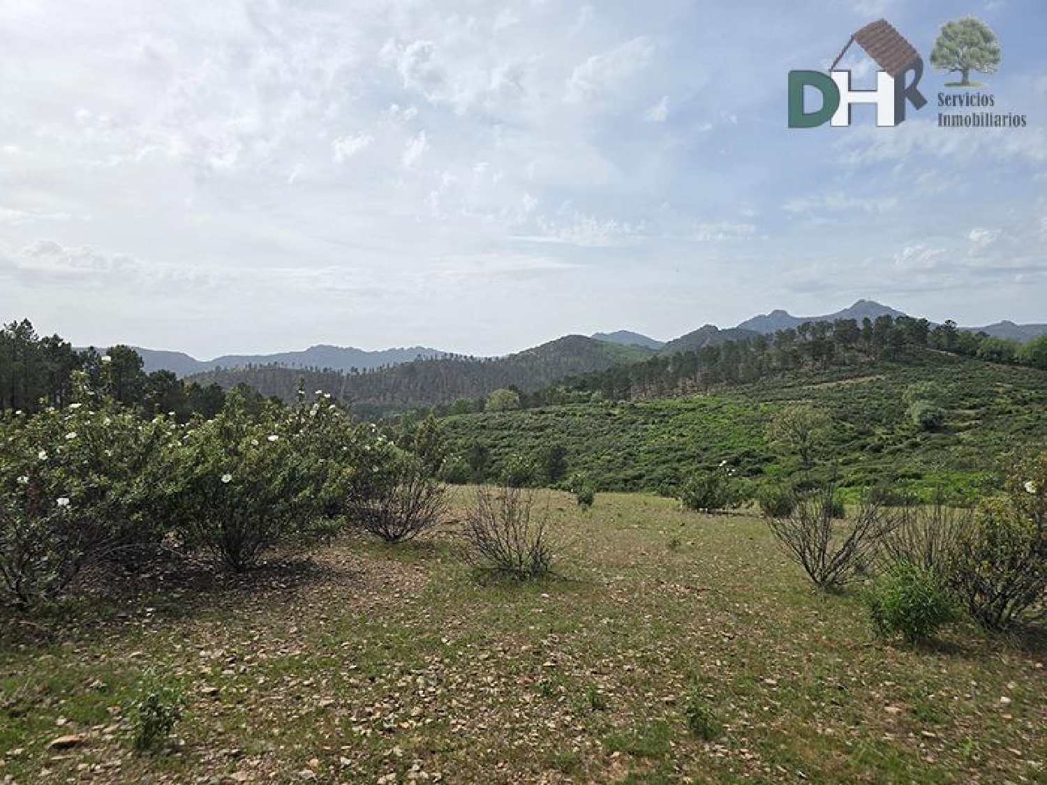  te koop perceel Casar De Cáceres Tajo-Salor 4