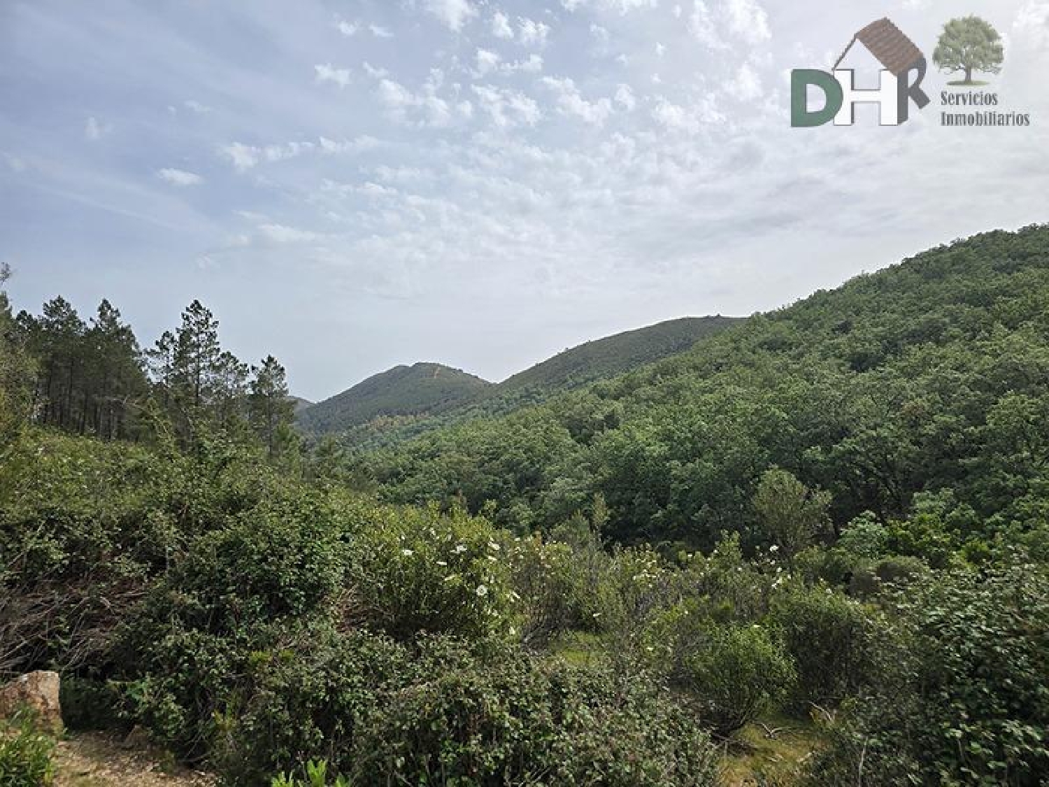  te koop perceel Casar De Cáceres Tajo-Salor 1