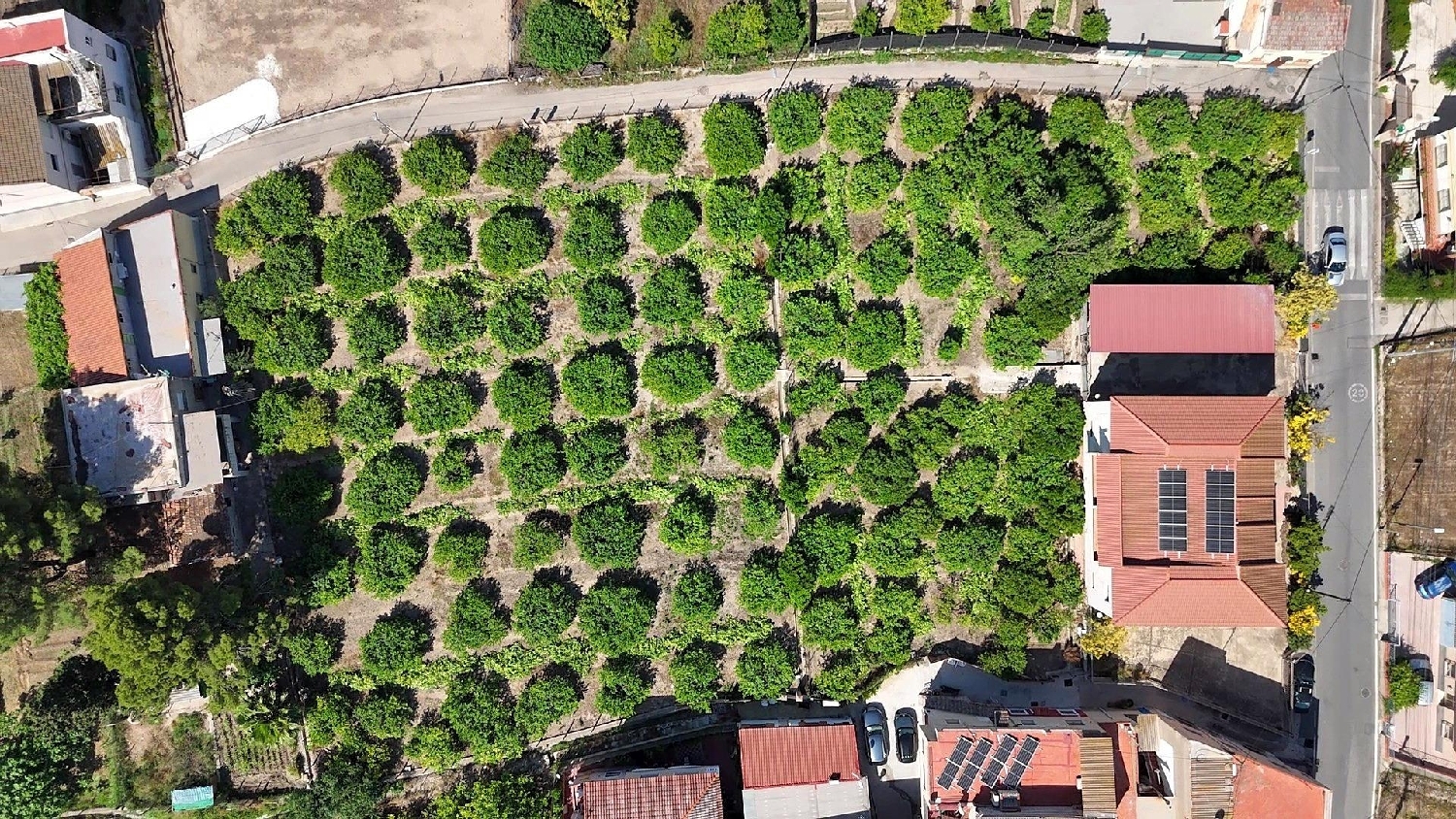  for sale plot Castrillo De Murcia Odra-Pisuerga 6