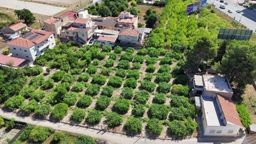 Castrillo De Murcia Odra-Pisuerga plot foto 6388852