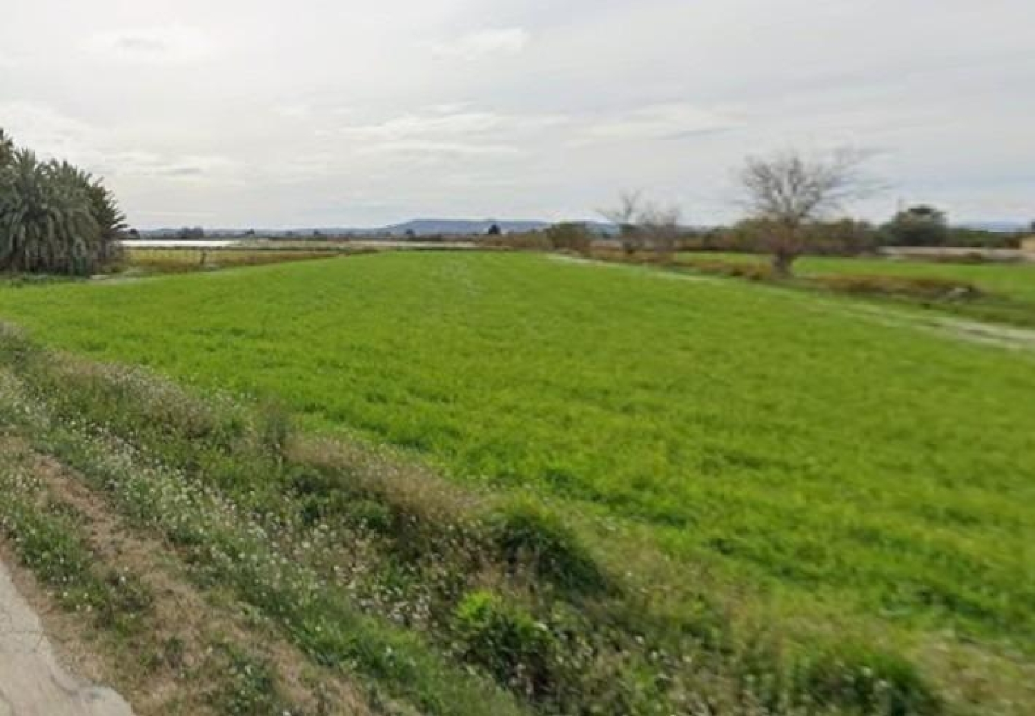  en venta terreno Catral Baix Segura 1