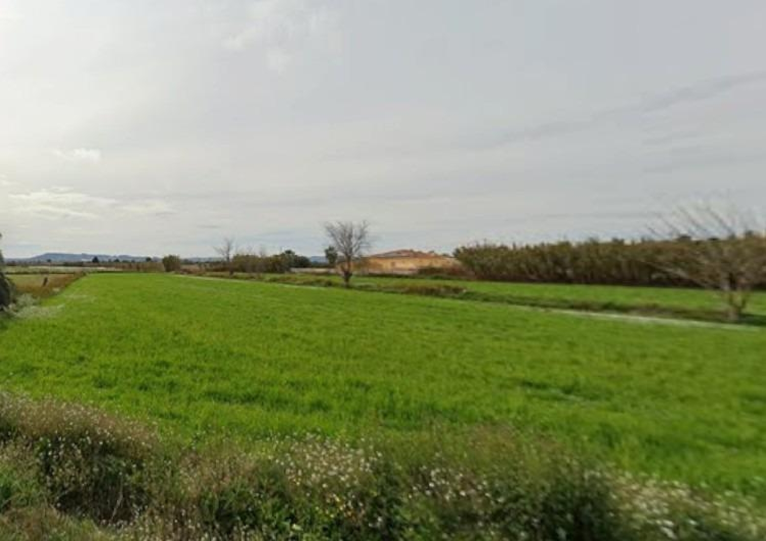  en venta terreno Catral Baix Segura 5