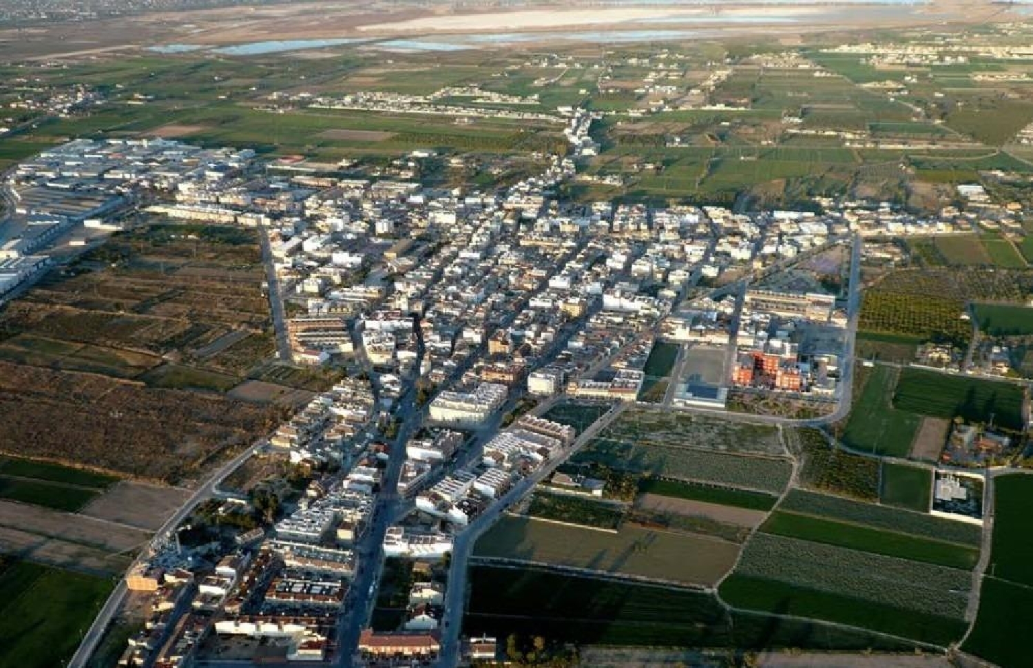 en venta terreno Catral Baix Segura 3