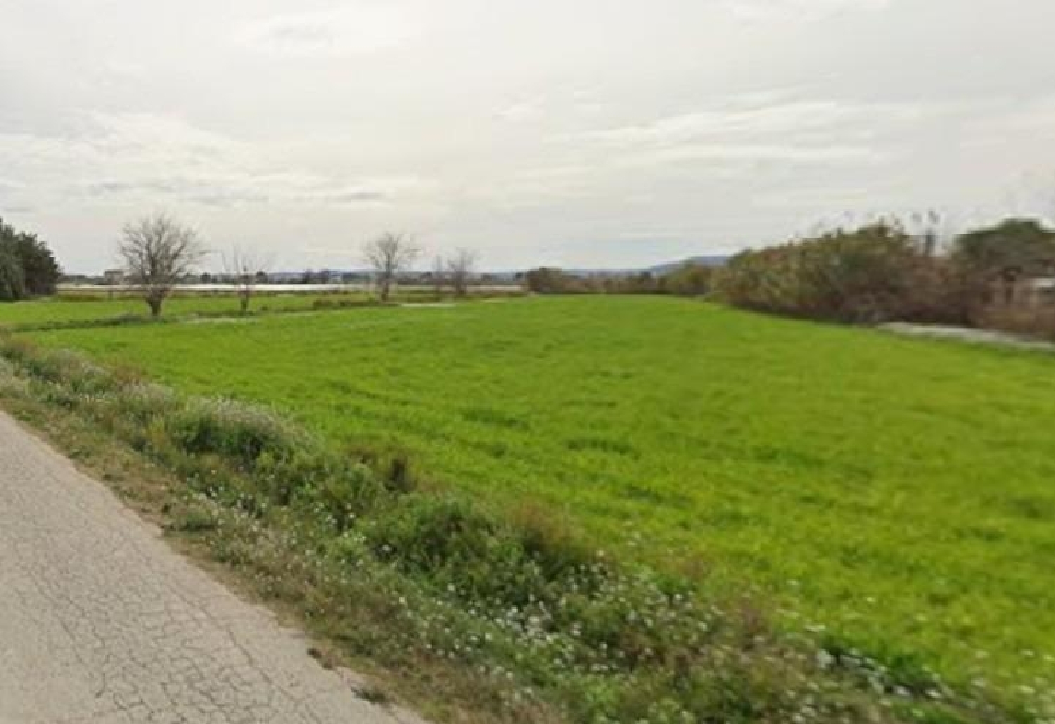  en venta terreno Catral Baix Segura 4