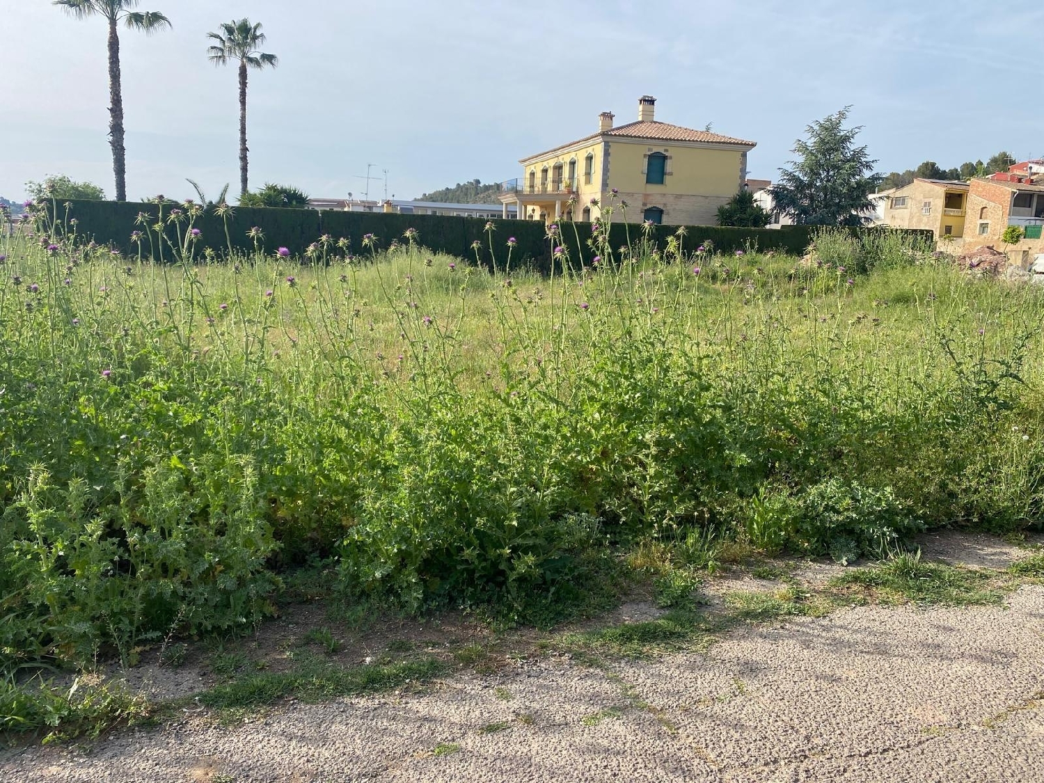  en venta terreno Chella Canal De Navarrés 3