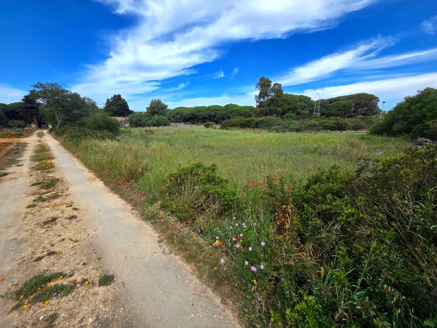 kaufen Grundstück Chiclana De La Frontera Bahía De Cádiz 7