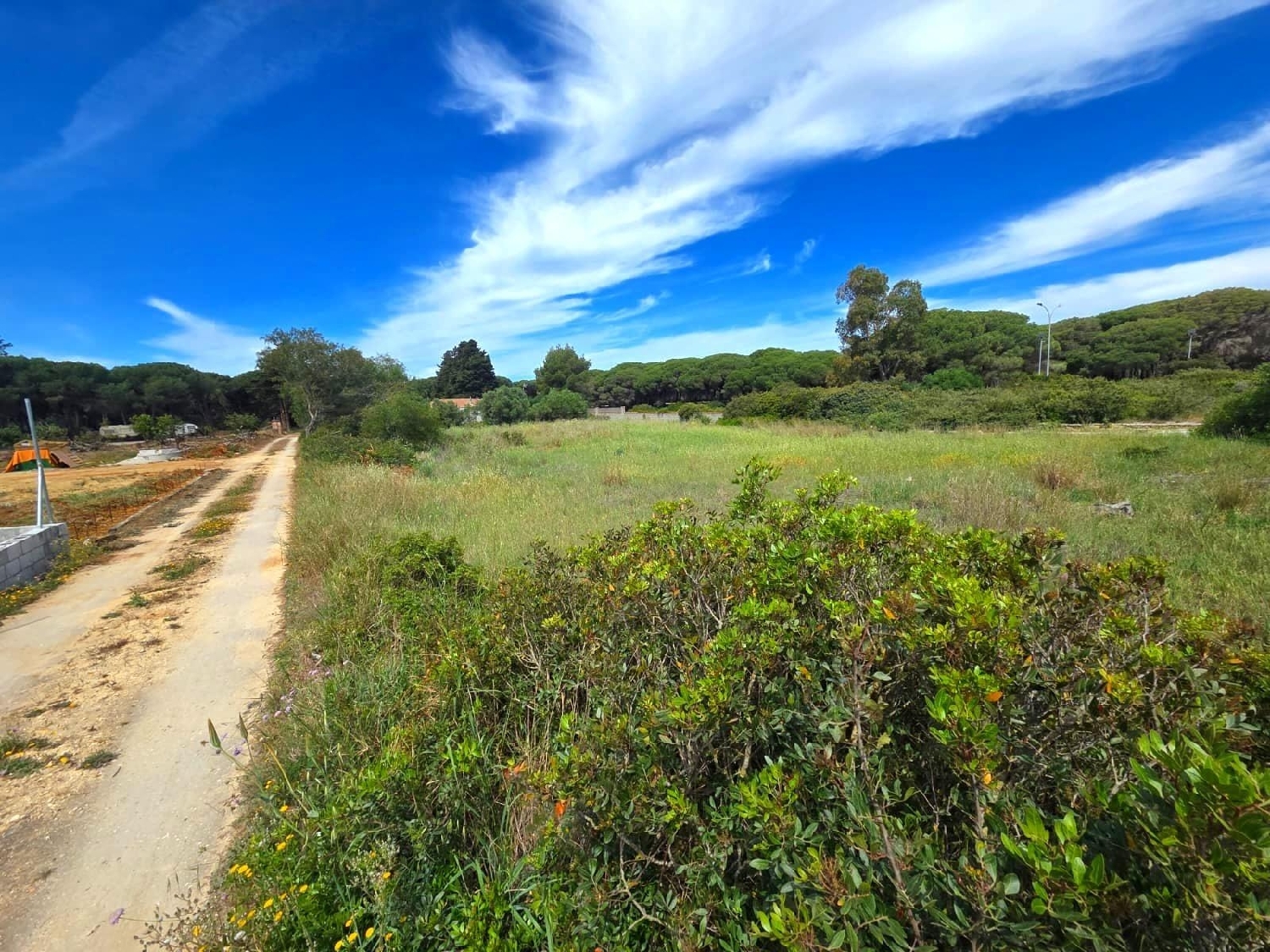kaufen Grundstück Chiclana De La Frontera Bahía De Cádiz 5
