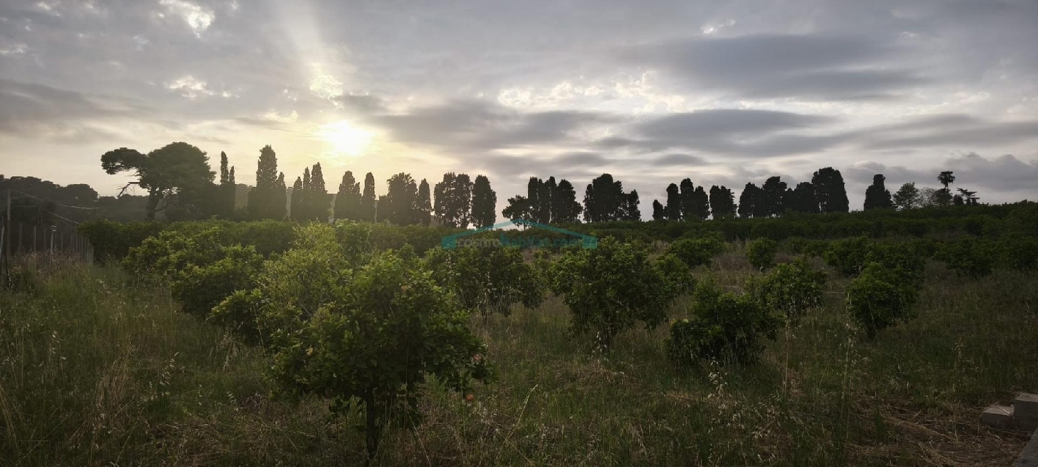  till salu tomt Corbera Ribera Baixa 8